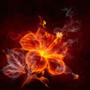 Meet your Posher, Sylvia